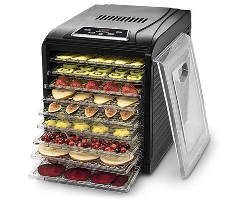 dehydration machine for fruits|Best Food Dehydrators of 2024 .